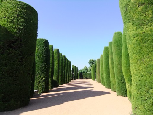 Cordoba Alcazar (10)