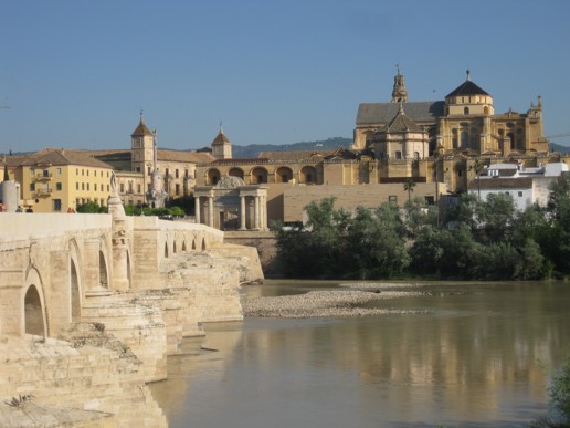 Cordoba Puente Romano y Mezquita  (15)