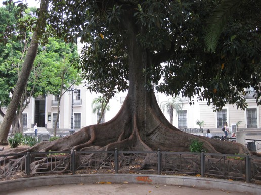 Cadiz villa (6)