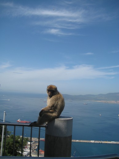 Gibraltar UK (22)