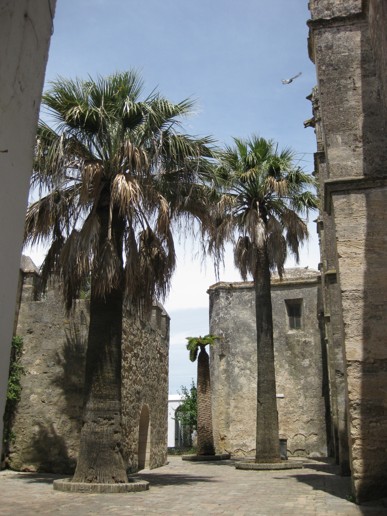 Vejer de la Frontera (9)