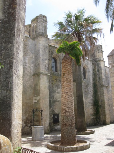 Vejer de la Frontera (10)