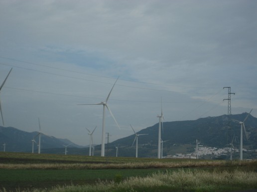 Vejer de la Frontera (13)