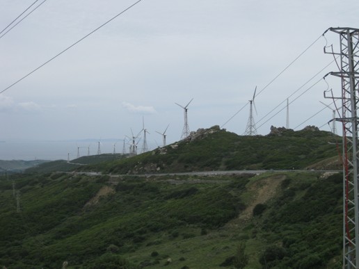 Vejer de la Frontera (16)