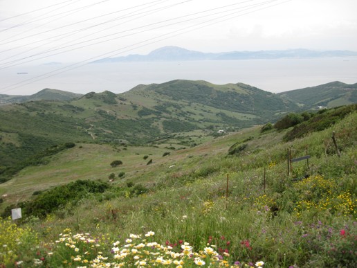 Vejer de la Frontera (17)