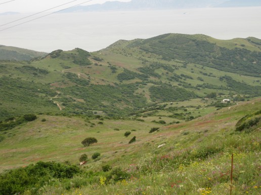 Vejer de la Frontera (18)